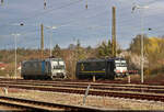 Wohl zum ersten Mal gastierten kürzlich Vectrons in Halle-Nietleben. In diesen Sackgassen-Bahnhof verirrt sich höchstens alle paar Monate eine Lok. Wenn es dann noch zwei Bestseller aus dem Hause Siemens sind, wird natürlich gerne vom Rand der Gleise ausgelöst.
Zu sehen sind die silberne 193 990-9 und die schwarze 193 636-8 (X4 E - 636), die nur sehr kurze Zeit ihres Lebens zu MRCE gehörte.

🧰 Railpool GmbH / Beacon Rail Capital Europe (BRCE), zum Aufnahmezeitpunkt vermietet an die LTE Logistik- und Transport-GmbH (LTE)
🕓 19.3.2024 | 8:12 Uhr