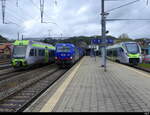 BLS - RABe 535 113 + HUPAC/BLS 193 495 + RABe 528 207 im Bhf. Burgdorf am 21.04.2024