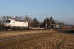 Letztes Jahr noch DB rot, jetzt weiss 193 314 Vectron bei Zorneding.
