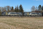193 706 und 193 702 Vectron der Beacon Rail, vermietet an Mercitalia Rail, durchfahren Eglharting auf dem Weg nach München am 8.2.2025.