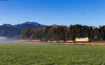 193 403 mit dem DGS xxx bei Weisham 19.4.25