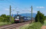 193 653 mit dem DGS 40044 (Luino SBB - Botlek) bei Köndringen 14.5.25