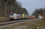 193 776 & 401 am 18.03.23 bei Aßling