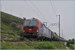 Kurz vor Ligerz, auf dem letzten, kurzen einspurigen Abschnitt der Jurasüdfuss Strecke ist die von SBB Cargo gemietete 193 052 mit einem Ölzug auf dem Weg in Richtung Cornaux.