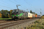 193 264 ELL/TXL  Born to rail   am 16.10.2025 bei Eglharting.
