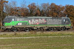 193 264 ELL/TXL  Born to rail  am 6.11.2025 bei Eglharting.