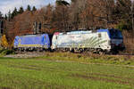 Lokomotion Werbelok 193 773 und Beacon ES 64 F4 - 009 (189 909) im neuen blauen Farbenkleid am 11.11.25 bei Zorneding.