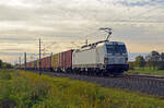Am 19.10.25 führte 193 964 der ATLU einen Containerzug durch Braschwitz Richtung Magdeburg.