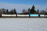 TXL 193 301 und 193 326 am 31.12.25 bei Eglharting.
