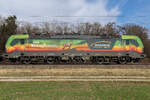BUDAMAR LOGISTICS, a.s., Bratislava [SK] mit der  193 807-5  [NVR-Nummer: 91 80 6193 807-5 D-RAILL] am 3.3.2026 bei Eglharting.