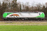 193 104 Ell „Fuchs“ am 16.3.26 bei Eglharting. Weils zu kalt war bin ich wieder heim.