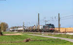 193 659 mit dem DGS 49009 (Karlsruhe Gbf - Basel SBB RB) bei Niederschopfheim 19.3.26
