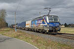 Seinem Bruder 193 565 folgte am 29.03.26 193 174 ebenfalls mit einem Containerzug Richtung Falkenberg(E). Hier passiert der RTB-Zug Wittenberg-Labetz.