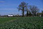 193 585 am 11.04.26 bei Thonstetten