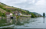 SBB Cargo 193 056 / Ligerz, 3. Mai 2026<br>
WLV-Zug 50602 RB Limmattal - Lausanne-Triage