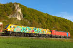 Dispo rail ? Hei�t das Graffiti auf der 2019 317 und 193 305 Railpool ex DB Cargo. Eine Lok an zweiter Stelle ist immer schwer zu fotografieren. Hier mein bester Nachschuss des Gespannes.  24.4.26. bei Breitenfurt.