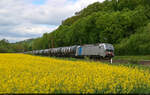 Kesselzug mit 6193 171-6 (Siemens Vectron) unterwegs s�dlich von Friedland(Han) Richtung Eichenberg.