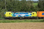 193 587 WLC kommt zum Vorschein aus dem Geb�sch am19 Juni 26 �stl von Osterm�nchen.