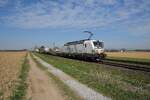 193 967 am 05.04.25 bei Amselfing