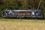 7193 310 Pferdchen und L�we mal wieder am 19.08.26 bei Eglharting.