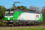 Setg Vectron 193 728   Luchs  am 25.9.26 bei Eglharting.