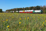 ELL 193 220 mit VW Transportern am 26.09.26 bei Eglharting.