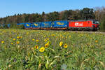 Fox Rail Vectron 193 996 Names Ida zieht LKW Walter am 26.09.26 bei Eglharting.