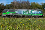193 213 Ell /WLC als Portrait am 27.09.26 bei Eglharting.