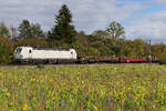 7193 887 mit Langschienen am 11.10.2026 bei Eglharting.