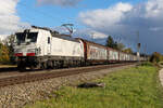 7193 311 TXL mit geschlossenen Wagen am 24.10.26 bei Eglharting.