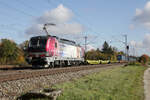 die von Adesso Rail eingesetzte Railpool 193 181 mit einem  LKW Walter-Zug  bei Eglharting, 29.10.2026