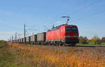 193 344 führte am 31.10.18 einen Novelis-Zug durch Braschwitz Richtung Köthen.
