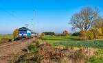 EC173 von Hamburg-Altona nach Budapest-Nyugatí am 10.11.2019 zwischen Großenhain und Priestewitz.