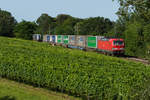 193 332 fährt mit den Sattelauflieger Zug im Weinberg bei Bad Bellingen auf der Rheintalbahn Richtung Norden.