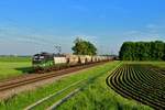 193 242 mit einem Getreidezug am 23.05.2019 bei Langenisarhofen.