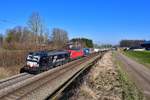 193 707 + 193 336 mit einem KLV am 18.03.2020 bei Vogl.