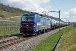 Vectron 193 522 von SBB Cargo International mit einem Kesselwagenzug bei Cressier am 15. April 2021.
Foto: Walter Ruetsch