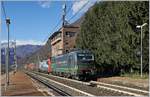 Die 193 257 und eine weitere Vectron von SBB Cargo International fahren mit einem Güterzug auf der Strecke Domodossola - Milano in Richtung Süden durch die Station Premosello-Chiovenda.