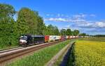 193 866 mit einem Containerzug am 25.05.2021 bei Langenisarhofen. 