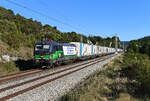 Am 23. August 2022 beförderte die von Ecco Rail angemietete 193 211 von ELL den KLV-Zug DGS 95693 von Triest nach Köln Eifeltor. Bei Hagenacker im Altmühltal konnte ich die an diesem Tage mit einiger Verspätung verkehrende Leistung, die hauptsächlich von Speditionen aus der Türkei genutzt wird, aufnehmen.