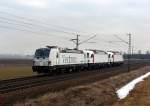 193 924 mit zwei 183 bei einer Testfahrt zwischen Plattling und Straubing am 22.02.2012 bei Stephansposching.