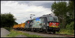 193 876 mit einem Aushubzug am 12.07.16 bei Bernhards