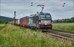 X4E -606 (193 606) ist mit einen Containerzug bei Reilos am 08.06.2017 in Richtung Norden zu sehen.