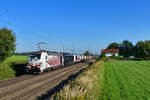 193 776 + 189 935 + 185 666 mit einem KLV am 29.08.2017 bei Hilperting.