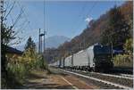 Schwarze Loks am Simplon: Sieben Minuten nach den beiden MRCE 189 kam ein weiterer  Walter  Zug, diesemal bespannt mit zwei an SBB Cargo International vermietete Vectron 193.