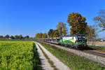 193 235 mit DGS 43987 am 12.10.2018 bei Langenisarhofen.