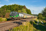 193 229 ELL/RTB Cargo mit dem DGS 48942 (Graz Ost - Zeebrugge Vorming) bei Postbauer-Heng, 22.07.2019