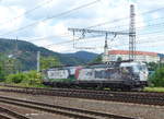 EP Cargo 383 062 + LokoTrain 193 222 am 09.06.2020 in Děčín hl.n..