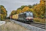 X4E -613 (193 613-7) / Mörlbach / 21.10.2020