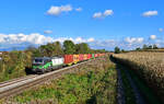 193 210 mit einem Containerzug am 16.10.2021 bei Langenisarhofen.